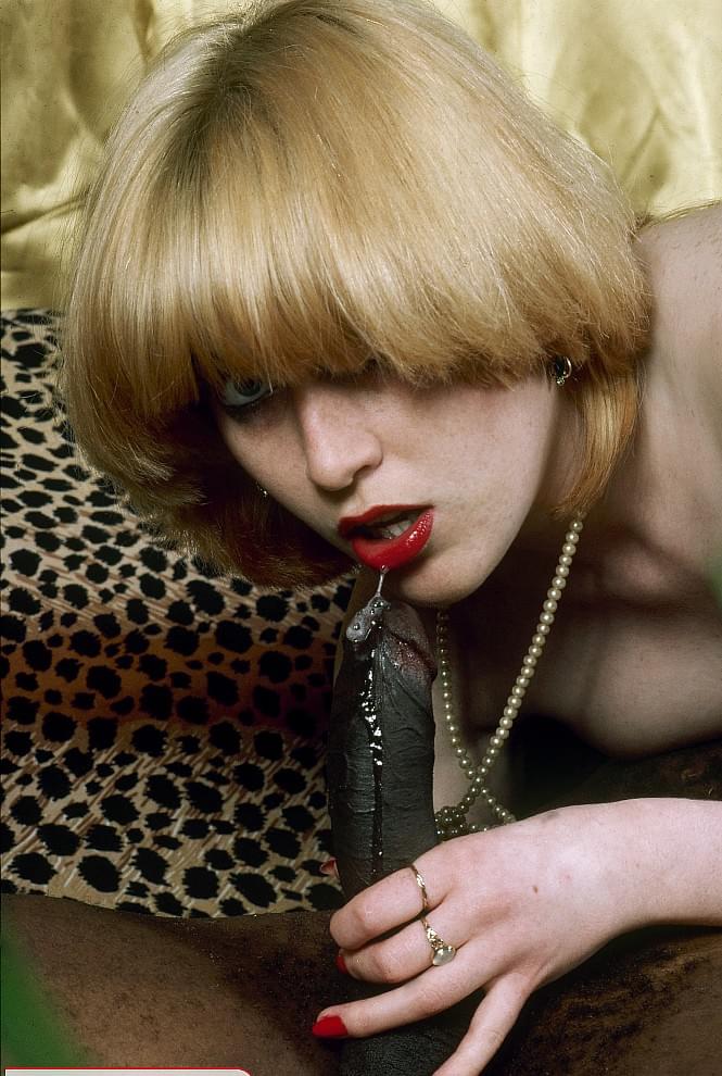 A collection of retro pornstars from the 70s and 80s doing naughty things