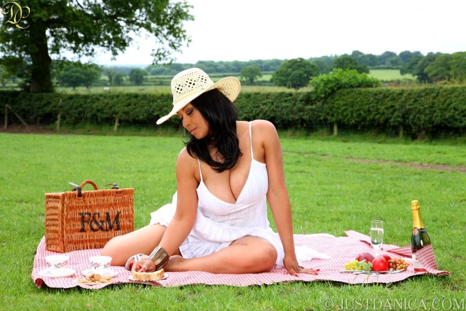 Hot middle-aged lady Danica Collins masturbates during a picnic on a blanket