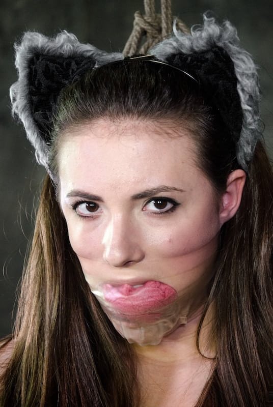 Collared sex slave Casey Calvert sports an anal butt plug in cat tail form