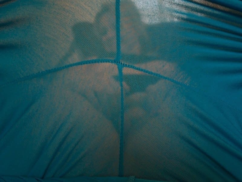 Mature BBW Daniella English frees her bush from yoga pants and thong panties
