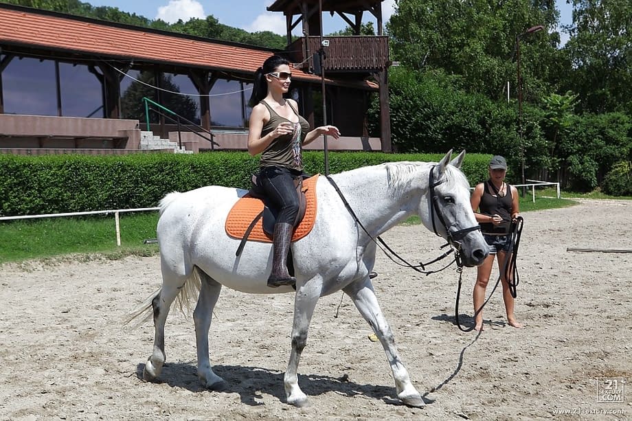 Pornstar Aletta Ocean is riding a horse outdoor in glasses