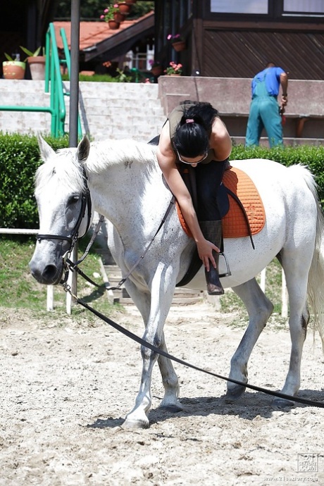 Pornstar Aletta Ocean is riding a horse outdoor in glasses