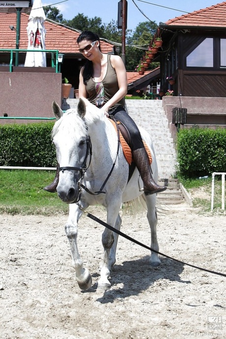 Pornstar Aletta Ocean is riding a horse outdoor in glasses