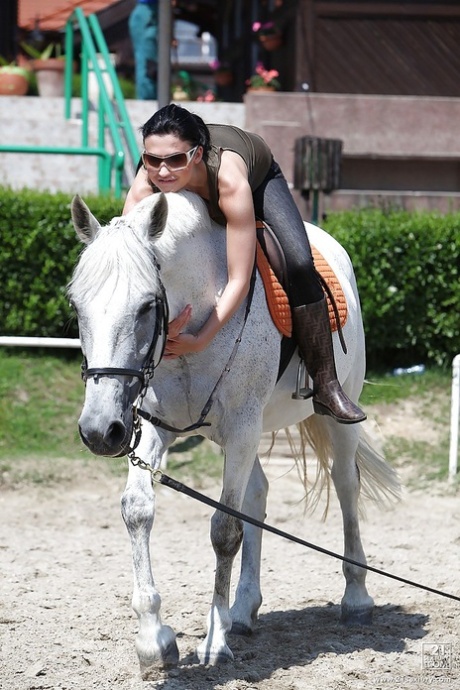 Pornstar Aletta Ocean is riding a horse outdoor in glasses