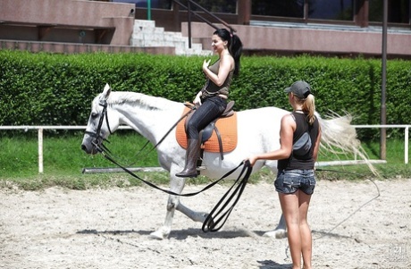 Pornstar Aletta Ocean is riding a horse outdoor in glasses