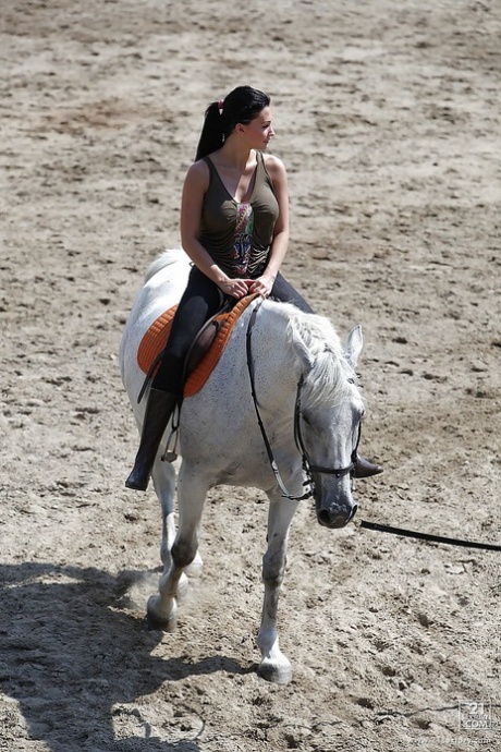 Pornstar Aletta Ocean is riding a horse outdoor in glasses