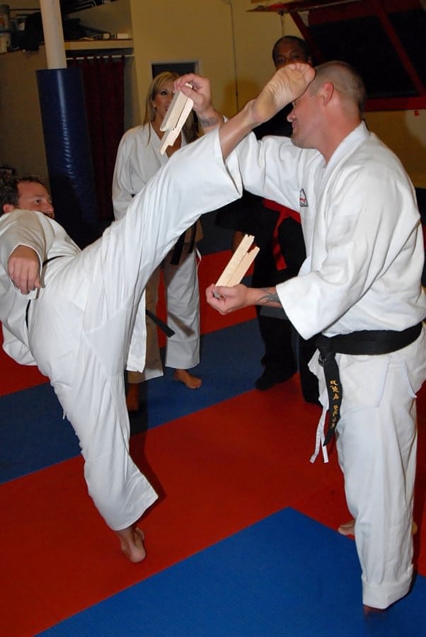 Martial arts workout ends up with sex with famous busty milf