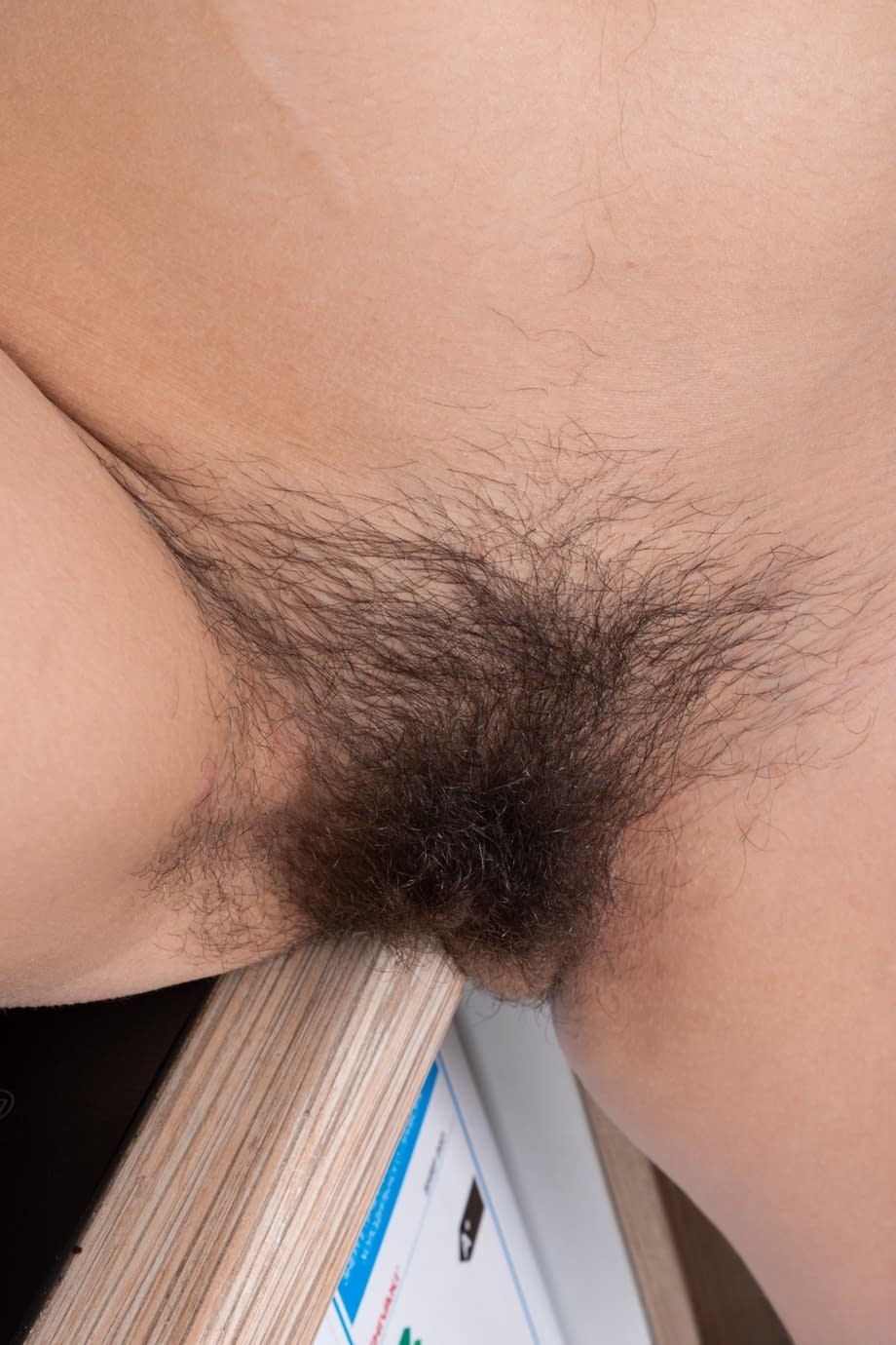 Amateur teen Sirena Spilona exposes her hairy vagina and nice titties indoors