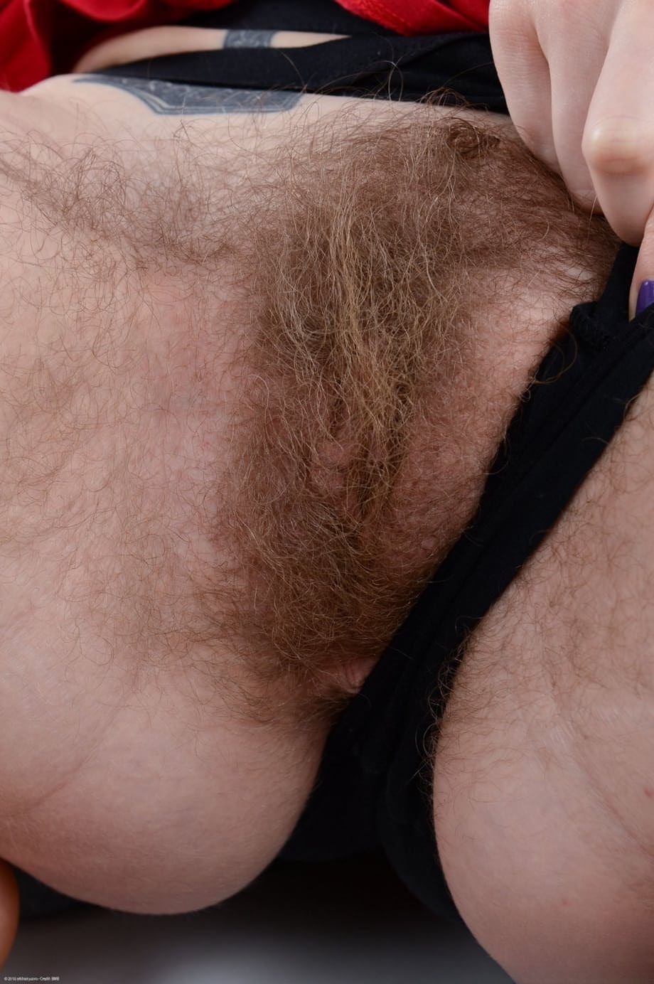 Blonde first timer Apricot Pitts parts her hairy vagina in bare feet