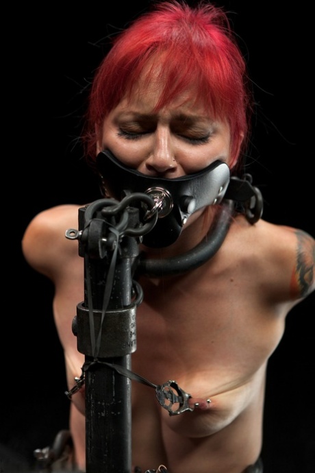 Redhead Phoenix Askani gets her tits pinched while tied on a BDSM machine